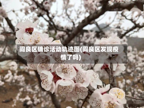 阎良区确诊活动轨迹图(阎良区发现疫情了吗)