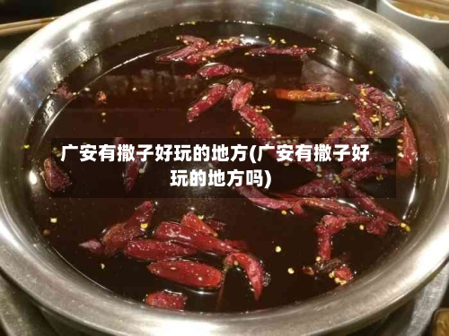 广安有撒子好玩的地方(广安有撒子好玩的地方吗)