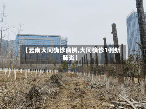 【云南大同确诊病例,大同确诊1例新肺炎】-第3张图片