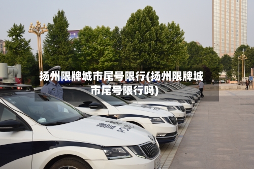 扬州限牌城市尾号限行(扬州限牌城市尾号限行吗)-第2张图片
