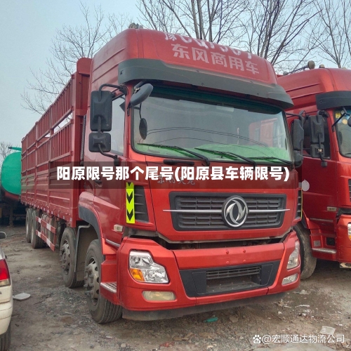 阳原限号那个尾号(阳原县车辆限号)-第2张图片