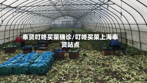 奉贤叮咚买菜确诊/叮咚买菜上海奉贤站点