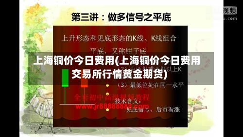 上海铜价今日费用(上海铜价今日费用交易所行情黄金期货)-第3张图片