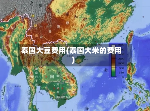 泰国大豆费用(泰国大米的费用)-第2张图片