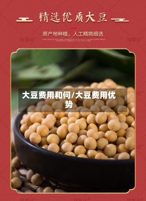 大豆费用和何/大豆费用优势