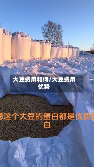 大豆费用和何/大豆费用优势-第2张图片