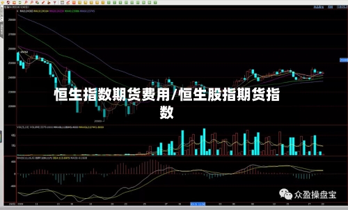 恒生指数期货费用/恒生股指期货指数