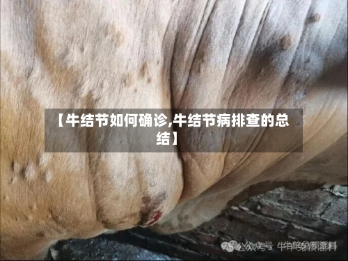 【牛结节如何确诊,牛结节病排查的总结】-第2张图片