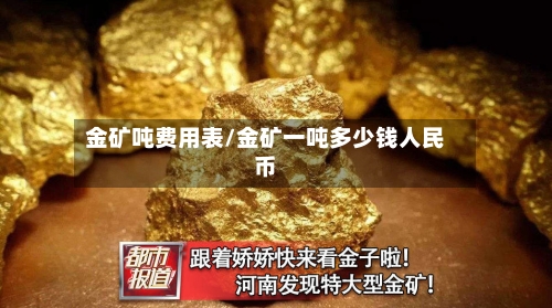 金矿吨费用表/金矿一吨多少钱人民币