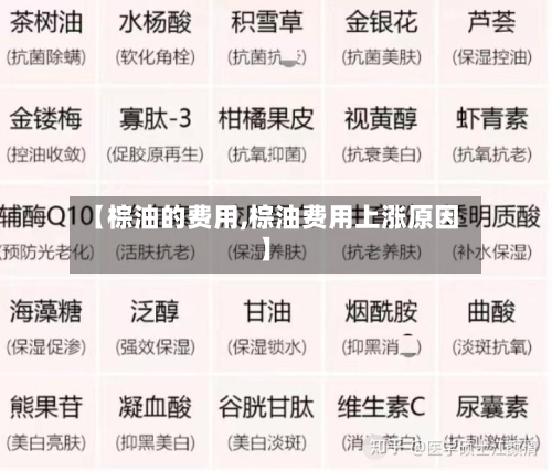 【棕油的费用,棕油费用上涨原因】