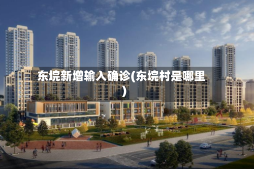 东垸新增输入确诊(东垸村是哪里)