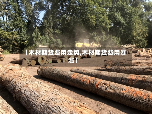 【木材期货费用走势,木材期货费用暴涨】-第2张图片