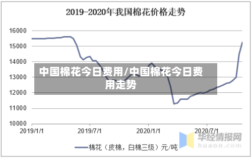 中国棉花今日费用/中国棉花今日费用走势-第2张图片