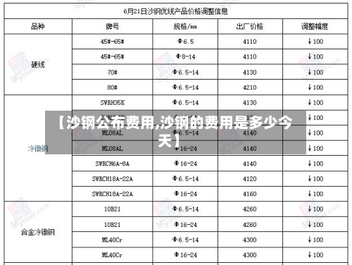 【沙钢公布费用,沙钢的费用是多少今天】