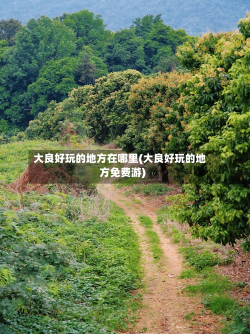 大良好玩的地方在哪里(大良好玩的地方免费游)-第3张图片