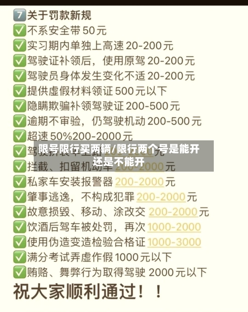 限号限行买两辆/限行两个号是能开还是不能开-第2张图片