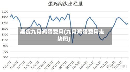 期货九月鸡蛋费用(九月鸡蛋费用走势图)-第3张图片