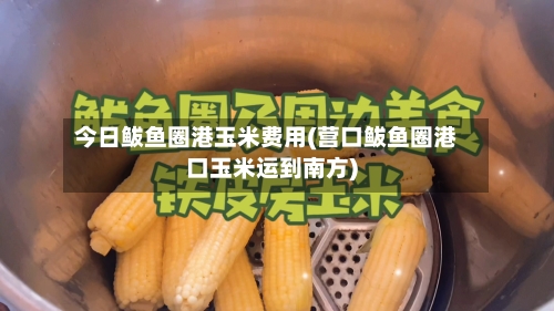 今日鲅鱼圈港玉米费用(营口鲅鱼圈港口玉米运到南方)-第2张图片