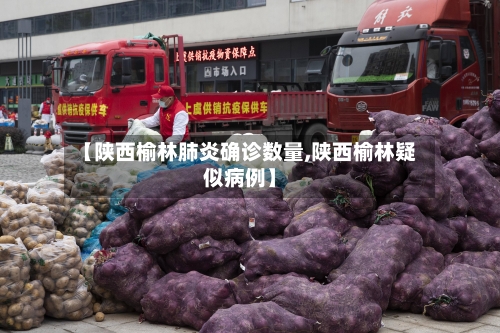 【陕西榆林肺炎确诊数量,陕西榆林疑似病例】