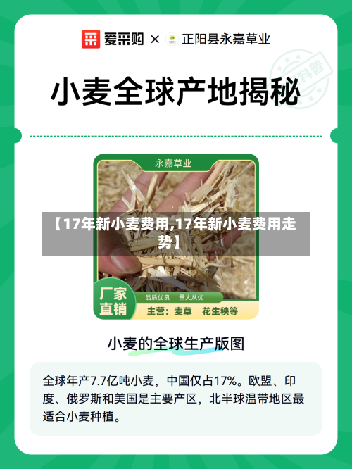 【17年新小麦费用,17年新小麦费用走势】