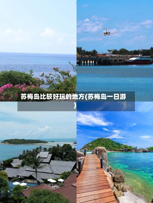 苏梅岛比较好玩的地方(苏梅岛一日游)