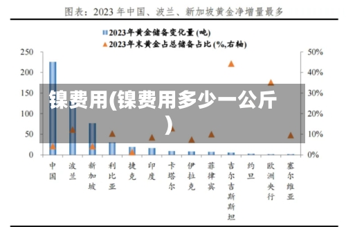 镍费用(镍费用多少一公斤)-第3张图片