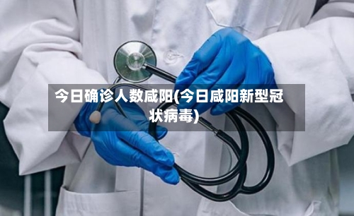 今日确诊人数咸阳(今日咸阳新型冠状病毒)-第2张图片
