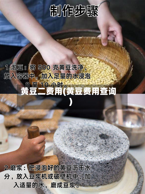 黄豆二费用(黄豆费用查询)