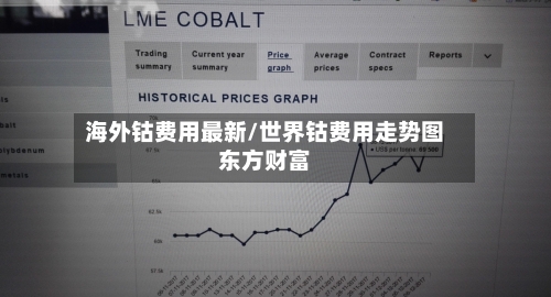海外钴费用最新/世界钴费用走势图东方财富
