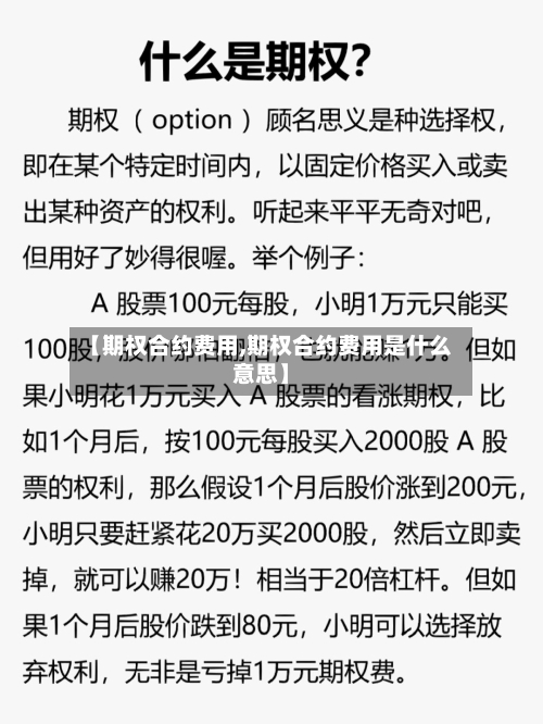 【期权合约费用,期权合约费用是什么意思】