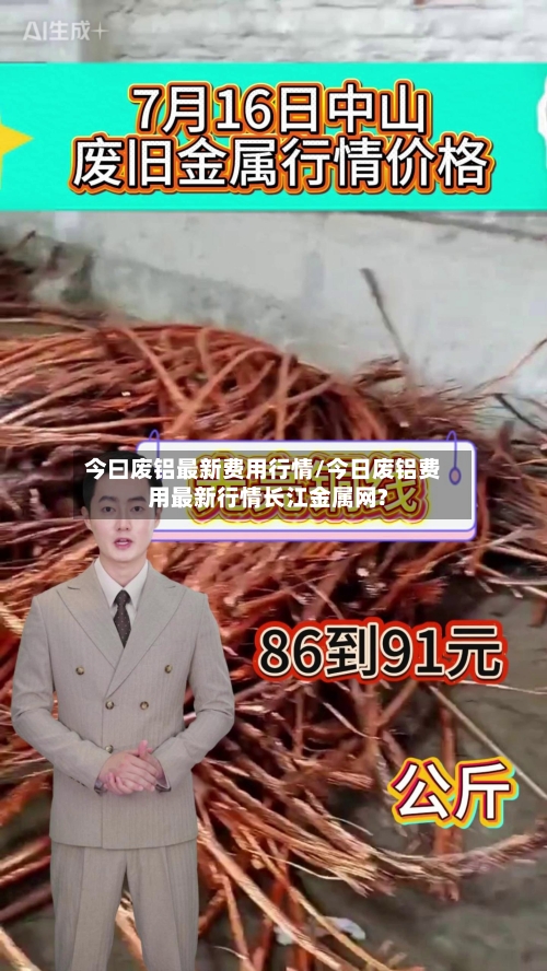 今曰废铝最新费用行情/今日废铝费用最新行情长江金属网?-第3张图片