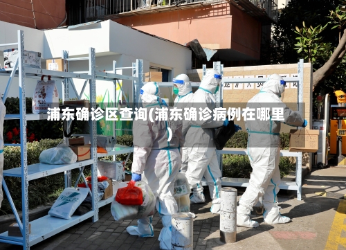 浦东确诊区查询(浦东确诊病例在哪里)