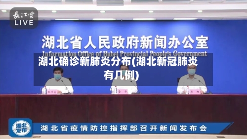 湖北确诊新肺炎分布(湖北新冠肺炎有几例)