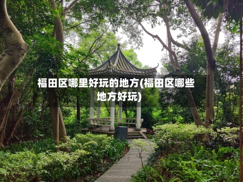 福田区哪里好玩的地方(福田区哪些地方好玩)-第2张图片