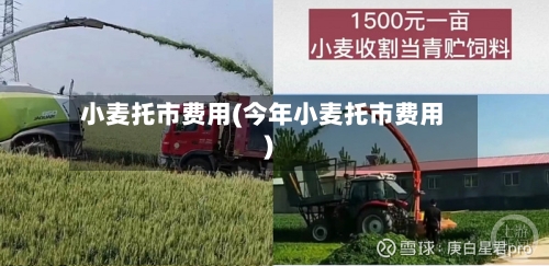 小麦托市费用(今年小麦托市费用)