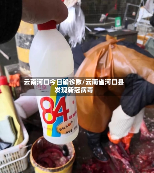 云南河口今日确诊数/云南省河口县发现新冠病毒