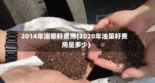 2014年油菜籽费用(2020年油菜籽费用是多少)-第3张图片