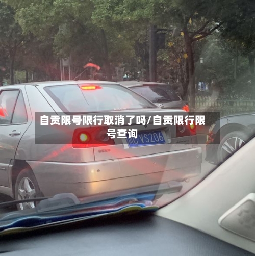 自贡限号限行取消了吗/自贡限行限号查询-第3张图片