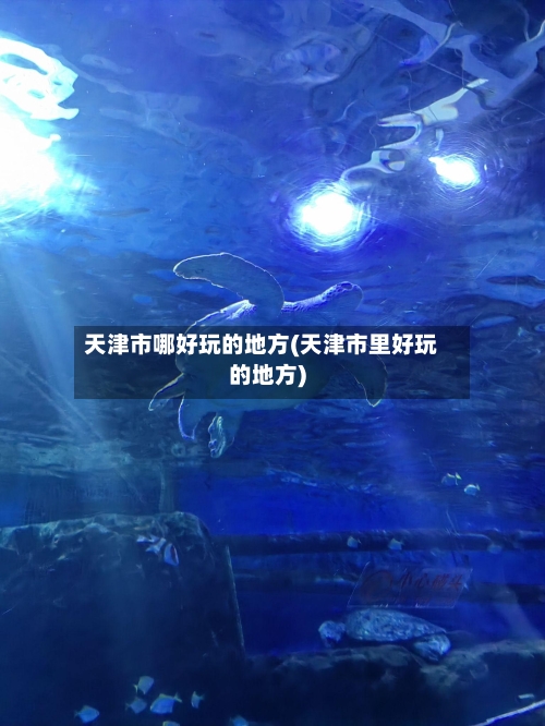 天津市哪好玩的地方(天津市里好玩的地方)-第2张图片