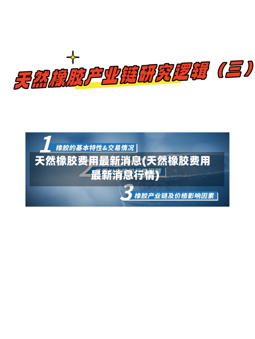 天然橡胶费用最新消息(天然橡胶费用最新消息行情)