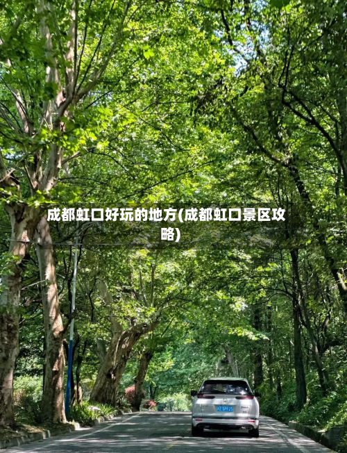 成都虹口好玩的地方(成都虹口景区攻略)