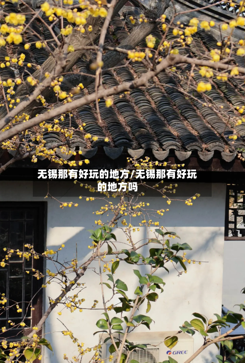 无锡那有好玩的地方/无锡那有好玩的地方吗