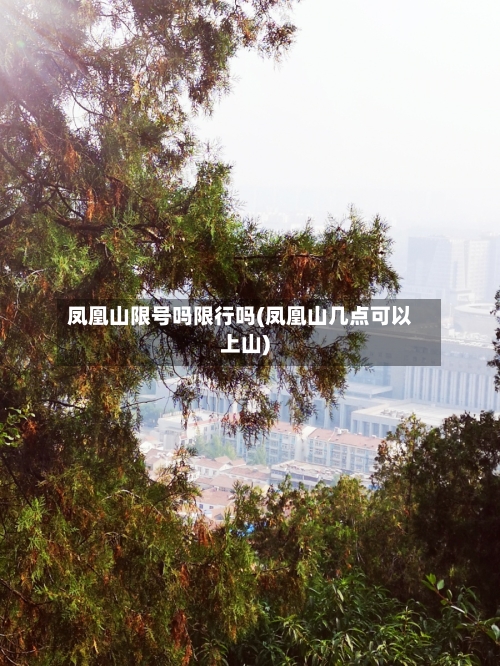 凤凰山限号吗限行吗(凤凰山几点可以上山)-第3张图片