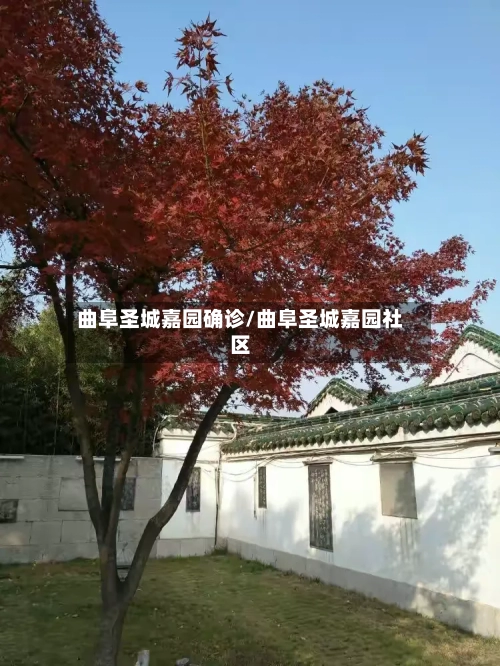 曲阜圣城嘉园确诊/曲阜圣城嘉园社区-第2张图片