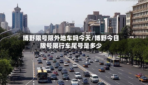博野限号限外地车吗今天/博野今日限号限行车尾号是多少-第2张图片