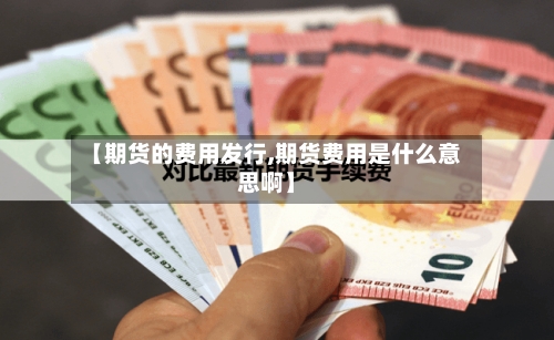 【期货的费用发行,期货费用是什么意思啊】-第2张图片