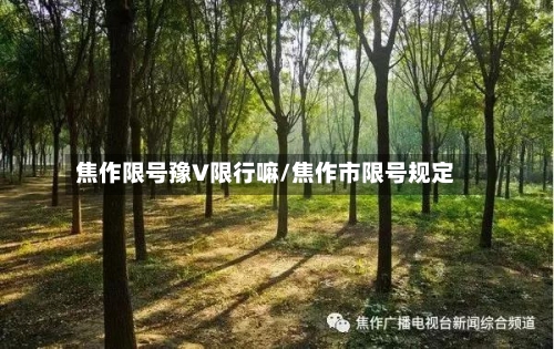 焦作限号豫V限行嘛/焦作市限号规定-第2张图片