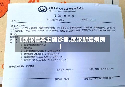 【武汉增本土确诊者,武汉新增病例】-第3张图片
