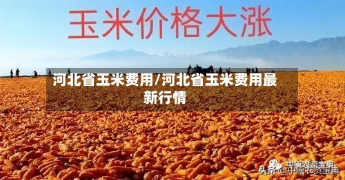 河北省玉米费用/河北省玉米费用最新行情
