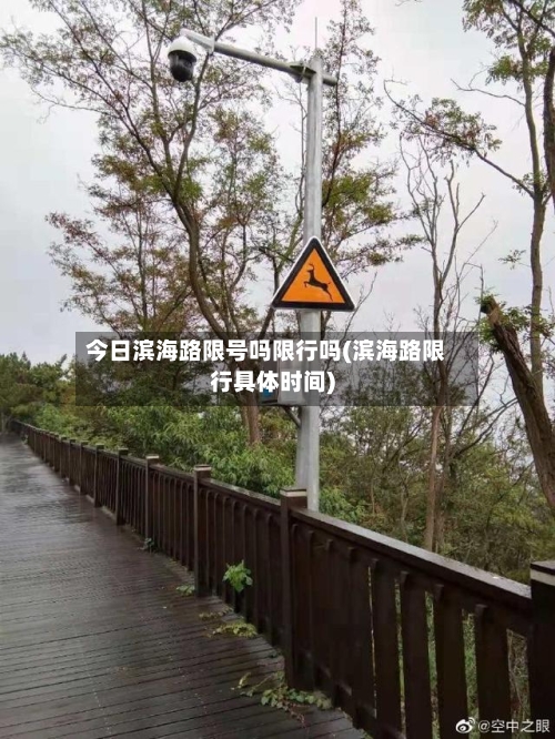 今日滨海路限号吗限行吗(滨海路限行具体时间)-第2张图片
